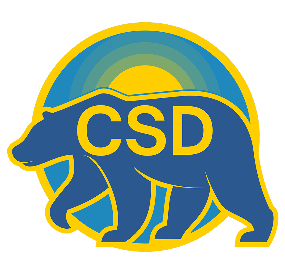 CSD Logo
